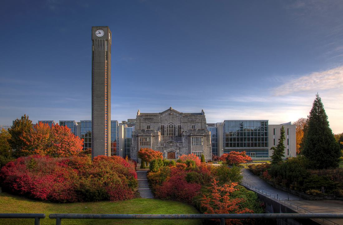 A university library building